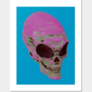 They also have skulls.... Posters and Art